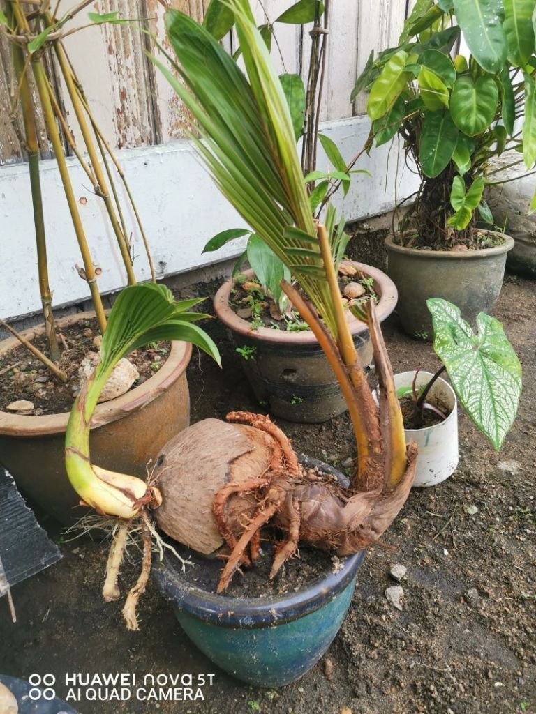 Kelantan